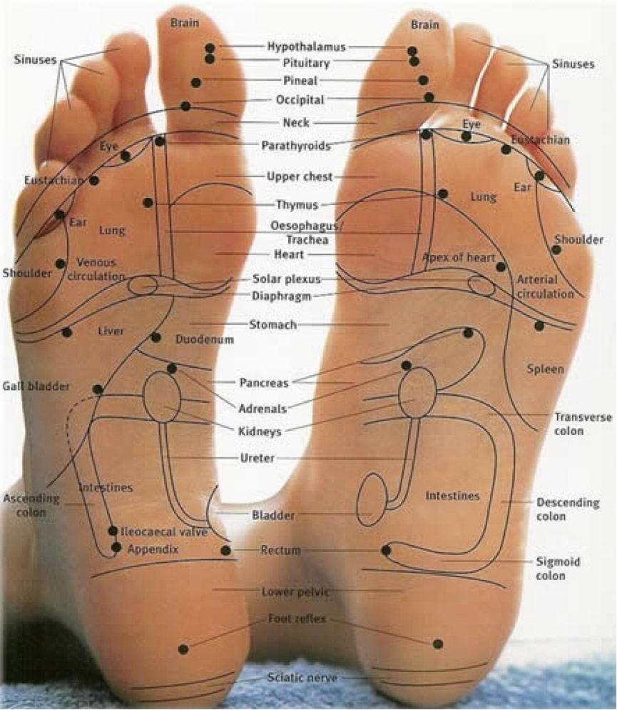 foot-reflexology-map